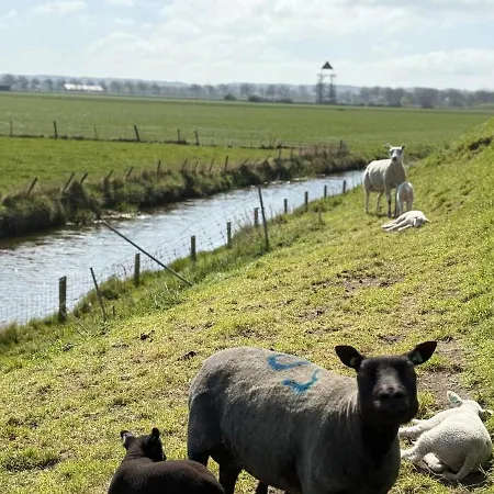 Feriehus Vakantiehuis Noord-Holland Dichtbij Zee Vp078 Warmenhuizen