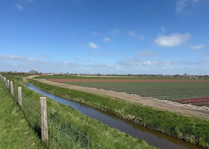 Met Noord-holland Op 5 Min&ruime Tuin Vp078 *