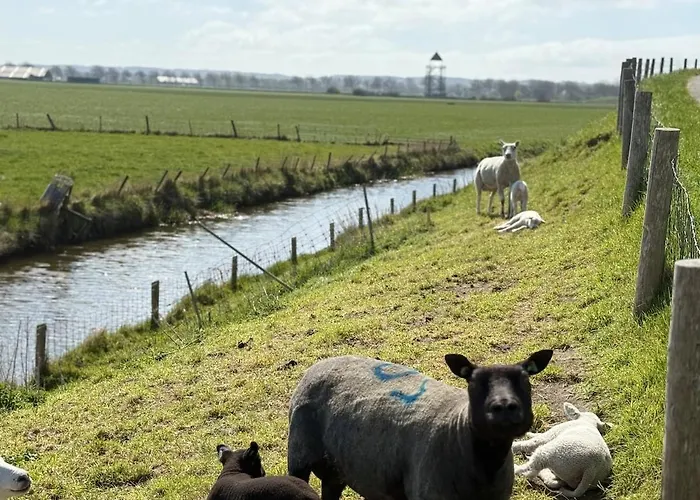 Ferienhaus Met Noord-holland Op 5 Min & Ruime Tuin Vp078 Warmenhuizen